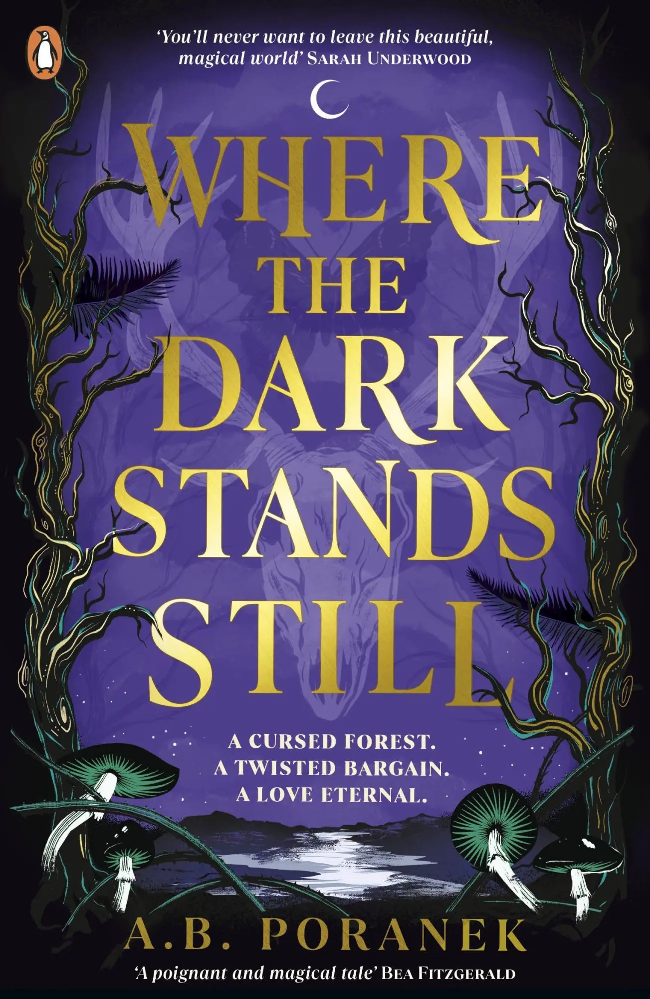 Cover: 9780241622179 | Where the Dark Stands Still | A. B. Poranek | Taschenbuch | 416 S.